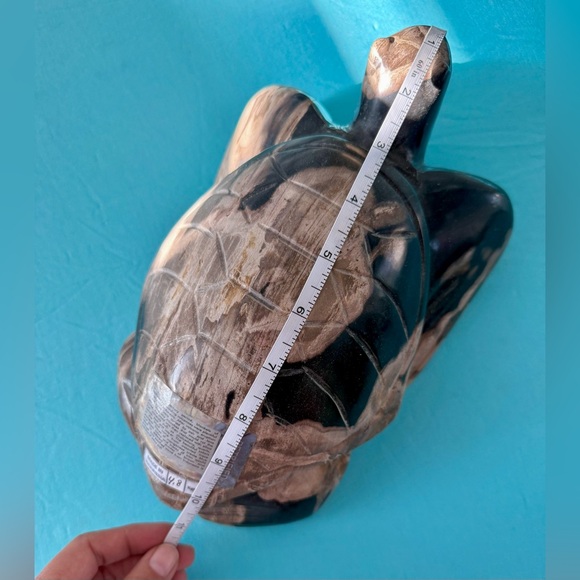 Petrified Wood Turtle - Picture 6 of 10